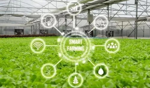 人工智能賦能智慧農(nóng)業(yè) 開(kāi)啟智能管理新篇章